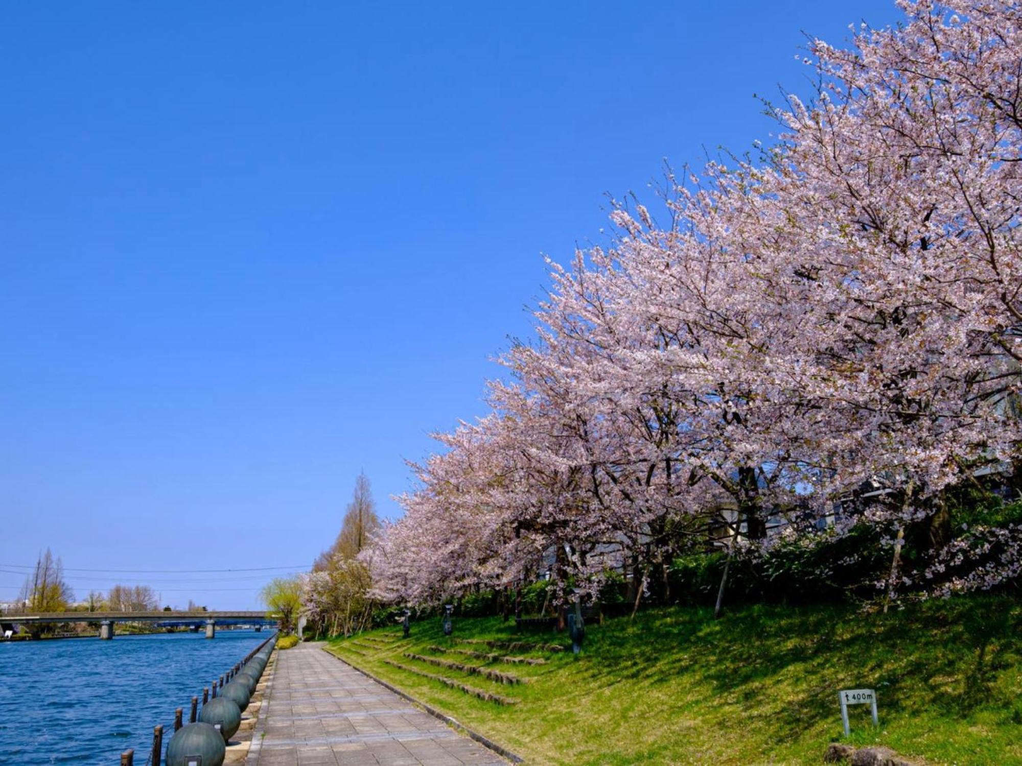 Hotel Morinokaze Tateyama‎ Тояма Экстерьер фото
