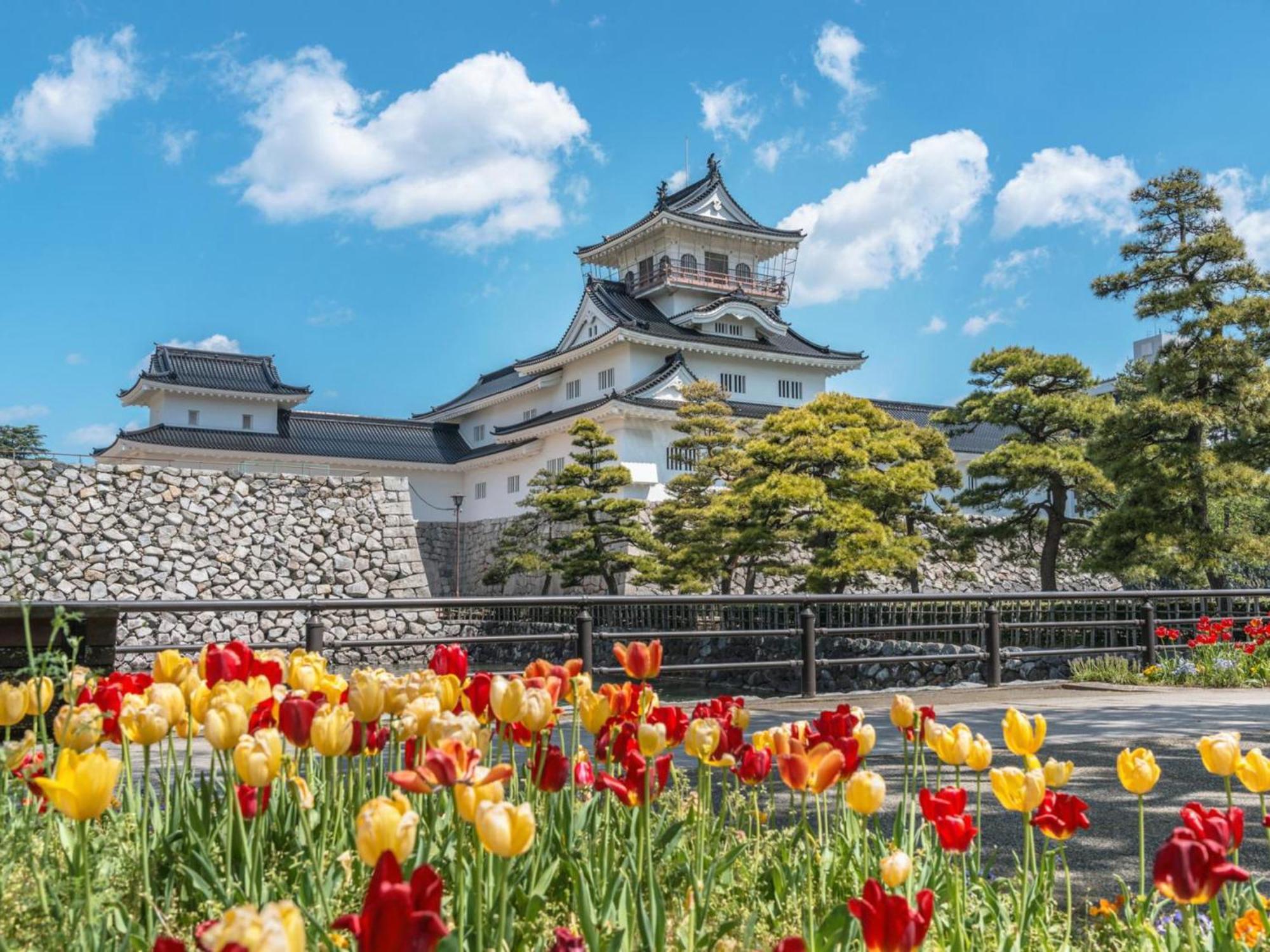 Hotel Morinokaze Tateyama‎ Тояма Экстерьер фото